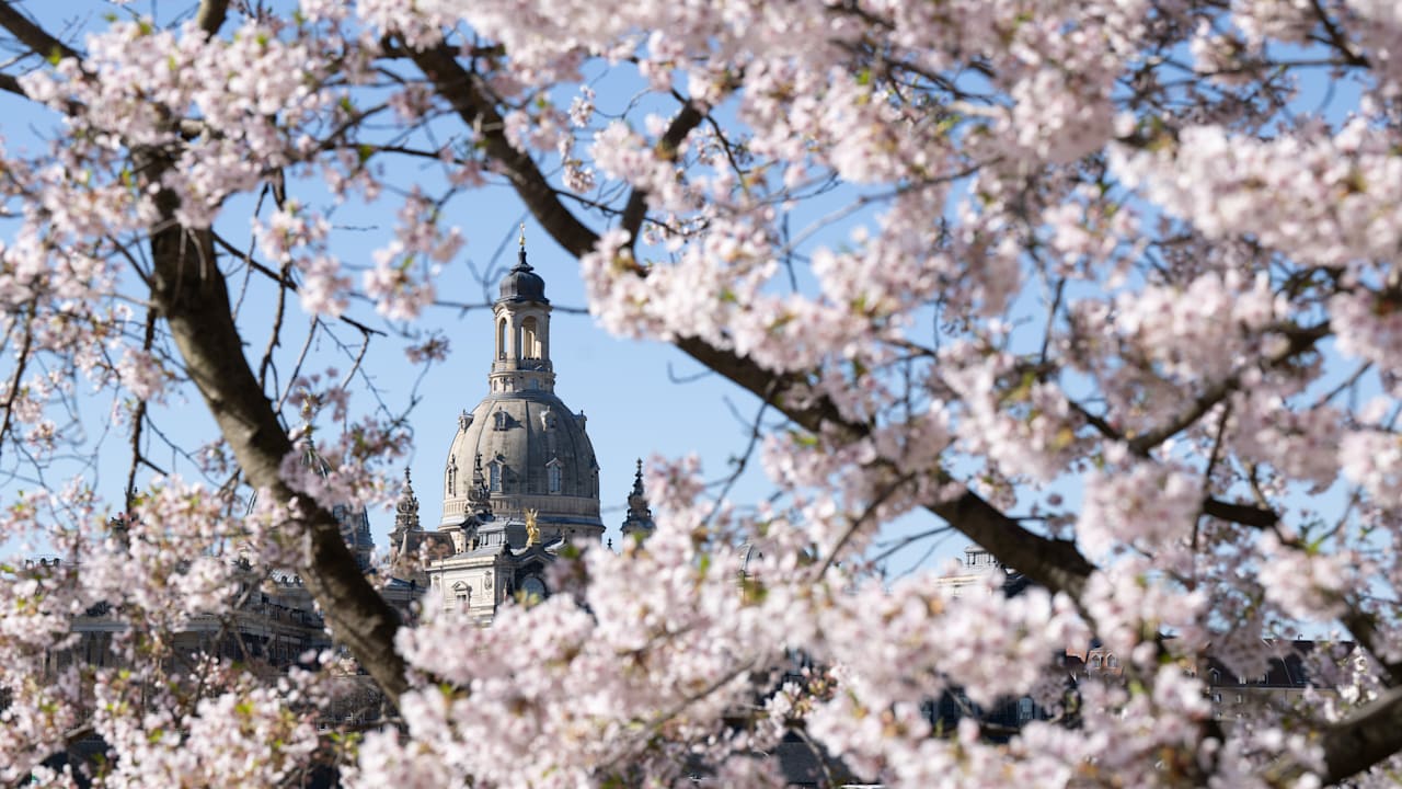 Frühlingssonne bringt milde Temperaturen und gute Laune nach Deutschland