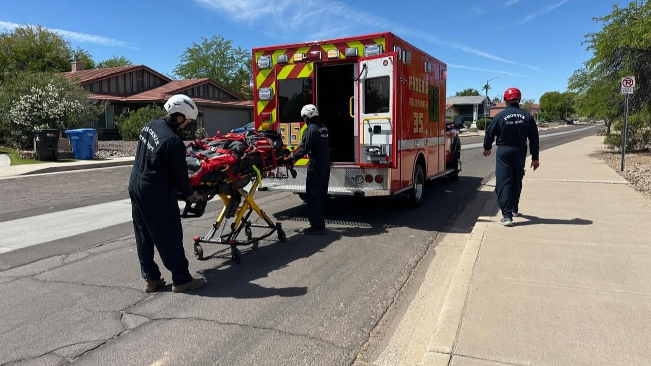 Wanderer überlebt schockierenden Bienenangriff mit über 100 Stichen