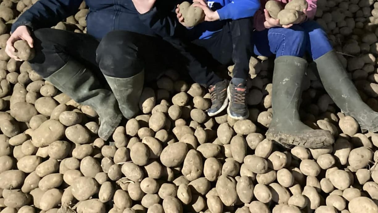 Kinder in Belgien verschenken Kartoffelüberschuss an die Gemeinde