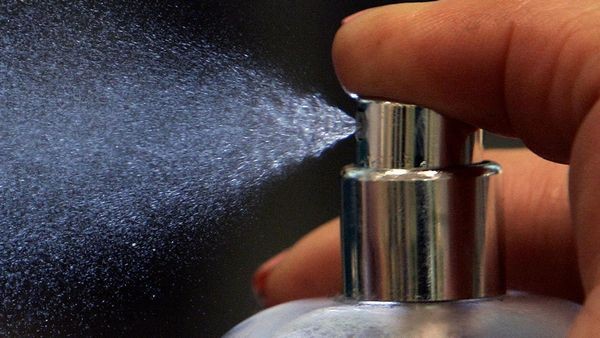 Ladendetektiv gebissen: Hernerin nach Diebstahl in Haft genommen