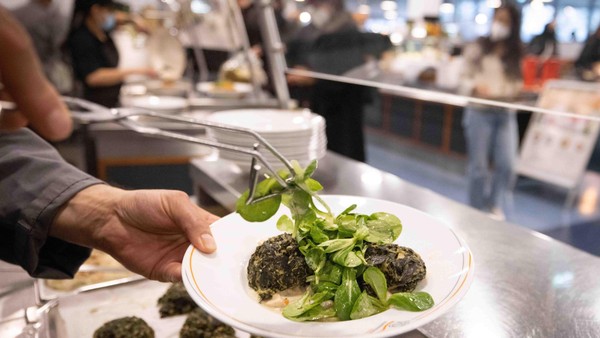 Grönemeyer feiert 70 Jahre und bleibt musikalisch am Puls der Zeit