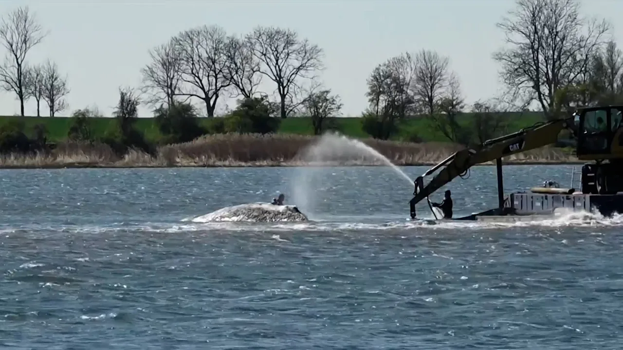 Intensiver Einsatz der Retter für Timmy
