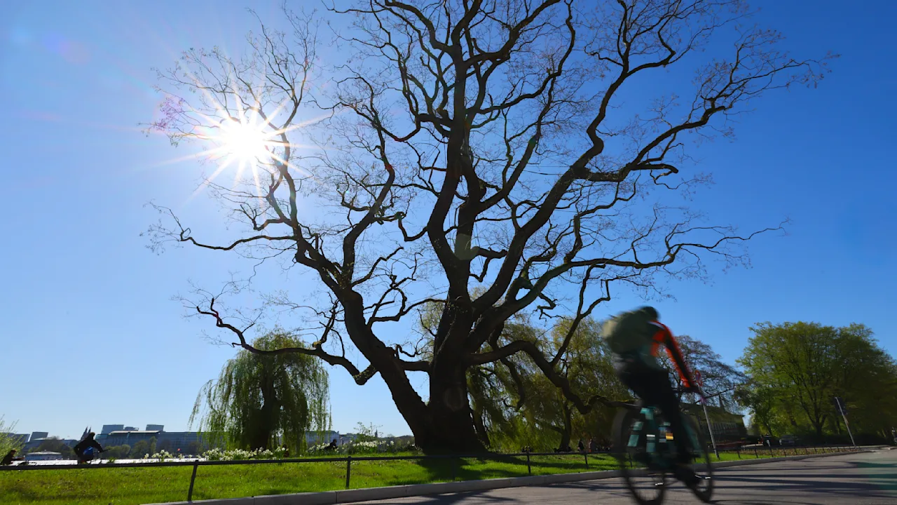 Frühlingserwachen in Deutschland: Sonne, aber kalter Wind bleibt