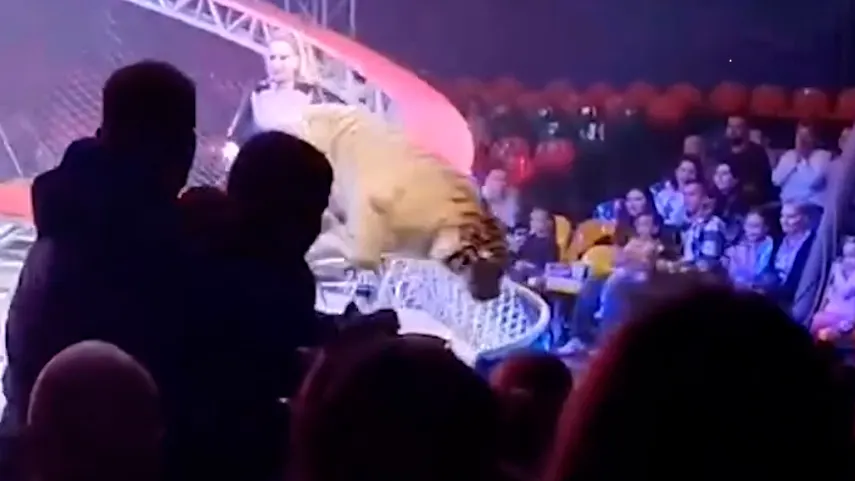 Katy Karrenbauer drückt Wal Timmy die Daumen für die Freiheit