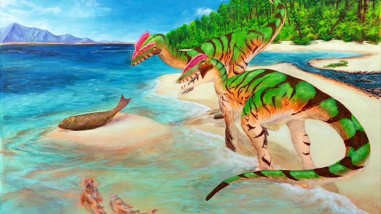 Katy Karrenbauer drückt Wal Timmy die Daumen für die Freiheit