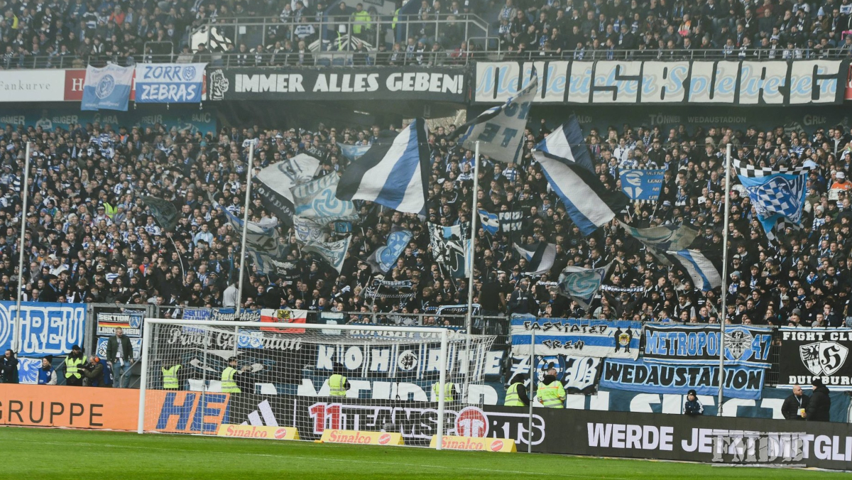 Zebras empfangen Löwen: Spektakuläres Duell vor Rekordkulisse in Duisburg