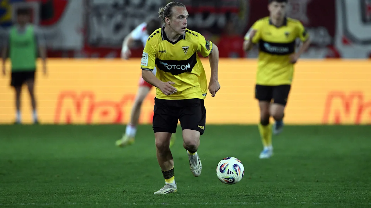 Chaos um den Ostsee-Wal Timmy – Sondersendung bei BILD