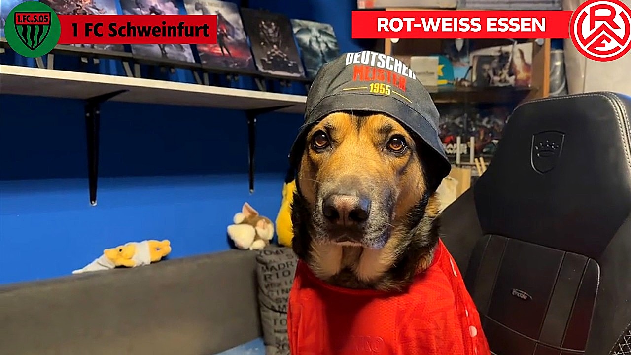 Schweinfurter Abschied: Drama im Duell gegen Rot-Weiss Essen