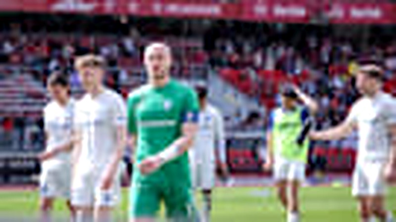 Tragischer Vorfall bei Schlangenbeschwörung in Ägypten