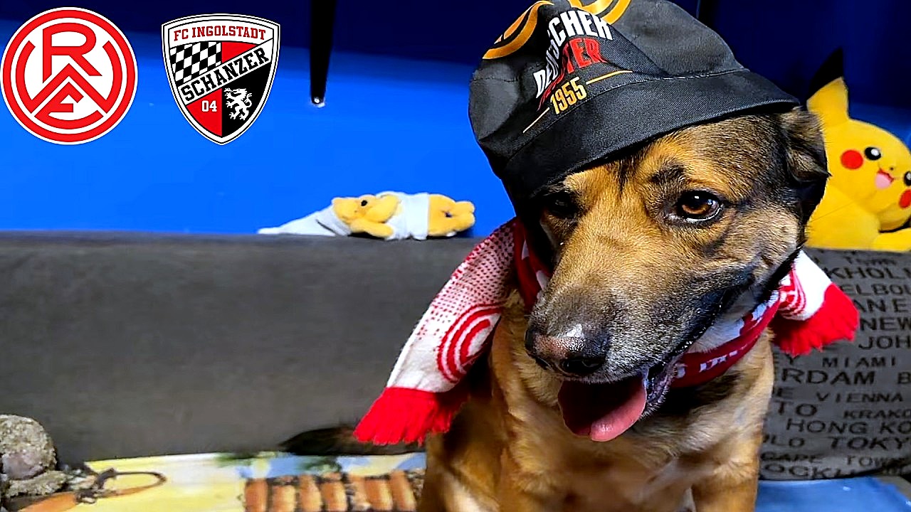 Hafenstraße rockt: RWE fegt Ingolstadt vom Platz!