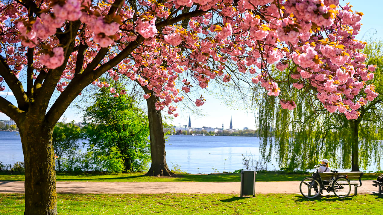 Frühlingssonne und Pollenalarm: Ein Wetterbericht für Deutschland