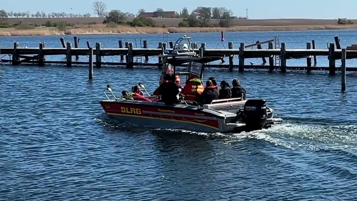 Rettungsaktion für Timmy: Das „Free Willy“-Team setzt alles auf eine Karte