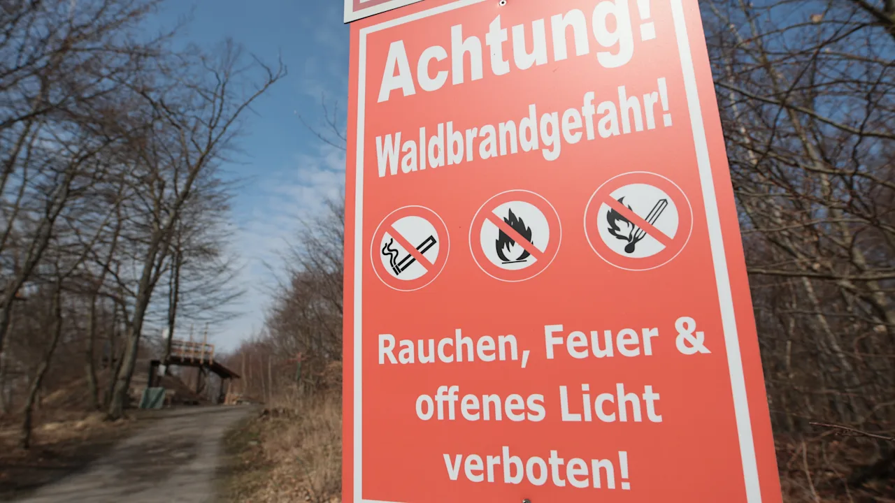 Waldbrandgefahr in Deutschland: Sonnenschein und Trockenheit erhöhen das Risiko