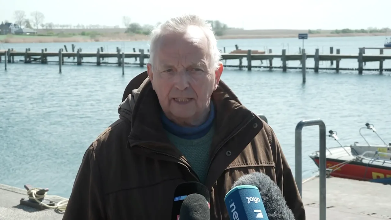 Rettungsaktion für Buckelwal Timmy: Hoffnung auf ein neues Konzept