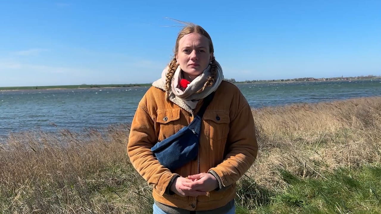 UEFA verhängt Sperre gegen Gianluca Prestianni - Konsequenzen für den Spieler und seine Mannschaft