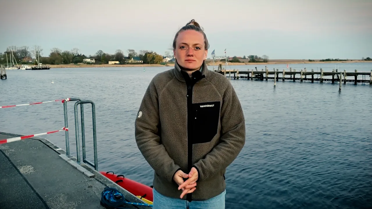 Tierärzte setzen Hoffnung auf erneute Blutuntersuchung bei Buckelwal Timmy