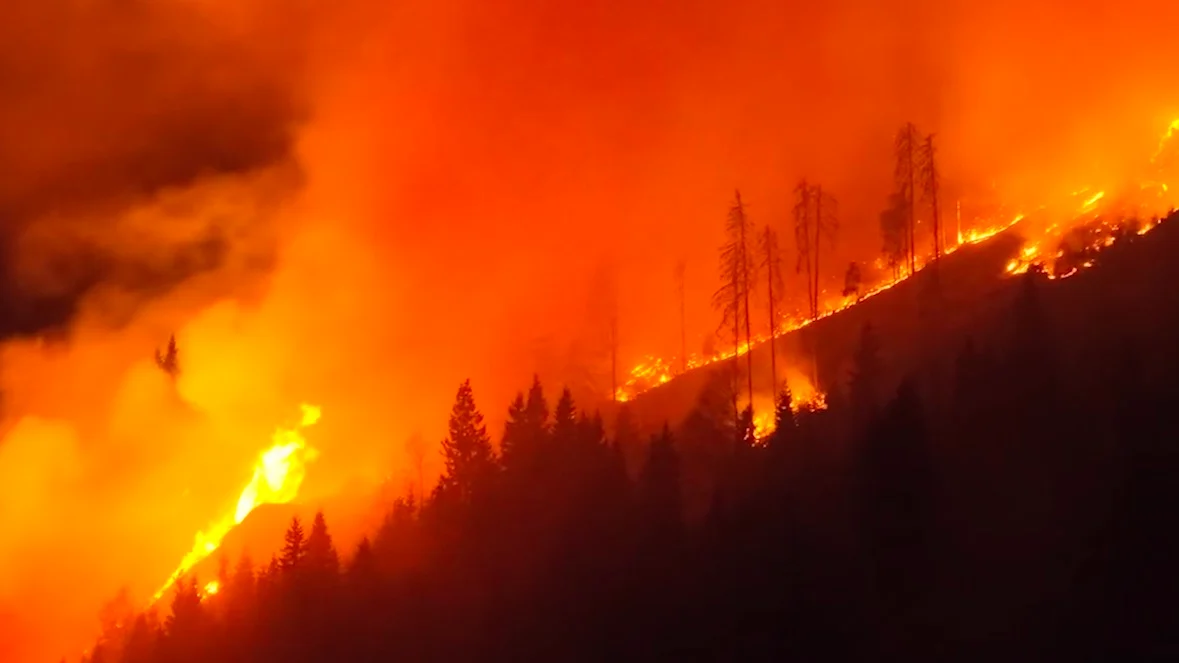 Waldbrand in den Alpen: Feuerwehr im Dauereinsatz gegen die Flammen