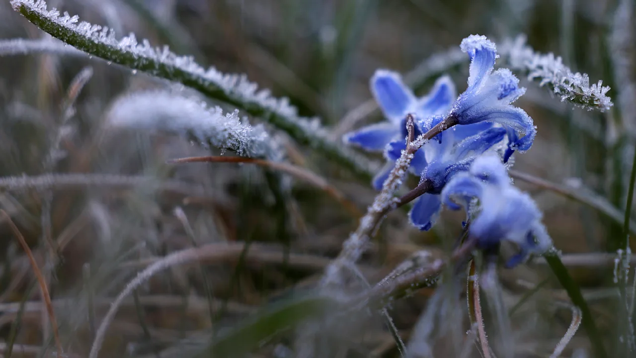 Kühle Nächte im sonnigen April: Ein meteorologisches Rätsel