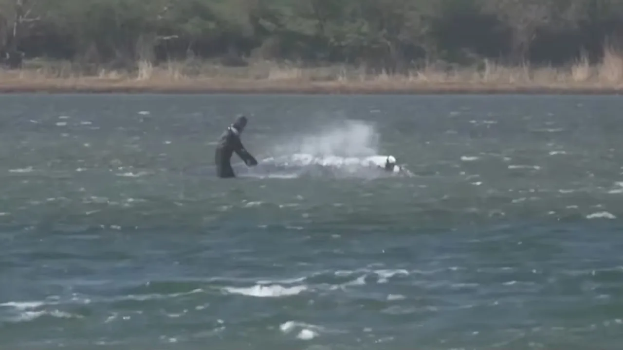 Timmy erhält dringend benötigte Bewässerung