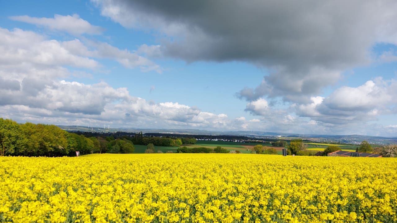 Extremes Wetter: Von Frost bis Frühlingswärme in Deutschland