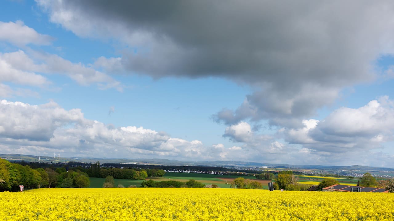 Extremes Wetter: Von Frost bis Frühlingswärme in Deutschland