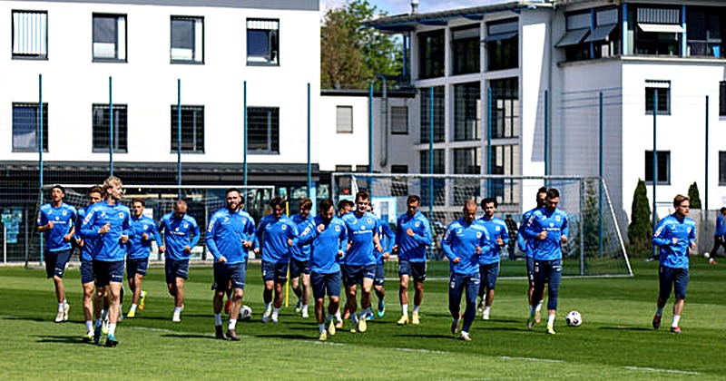 Die Zukunft des TSV 1860 München nach dem Zwangsabstieg