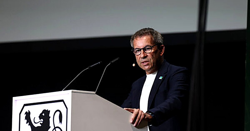 TSV 1860 München vor Insolvenz: Ein Neuanfang ohne Investoren