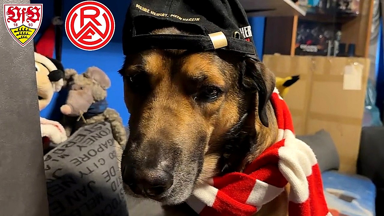 Porzellan oder Leidenschaft? RWE trotzt dem VfB Stuttgart!
