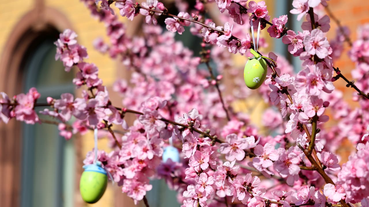 Osterwetter: Von grauem Himmel zu warmen Temperaturen über 20 Grad