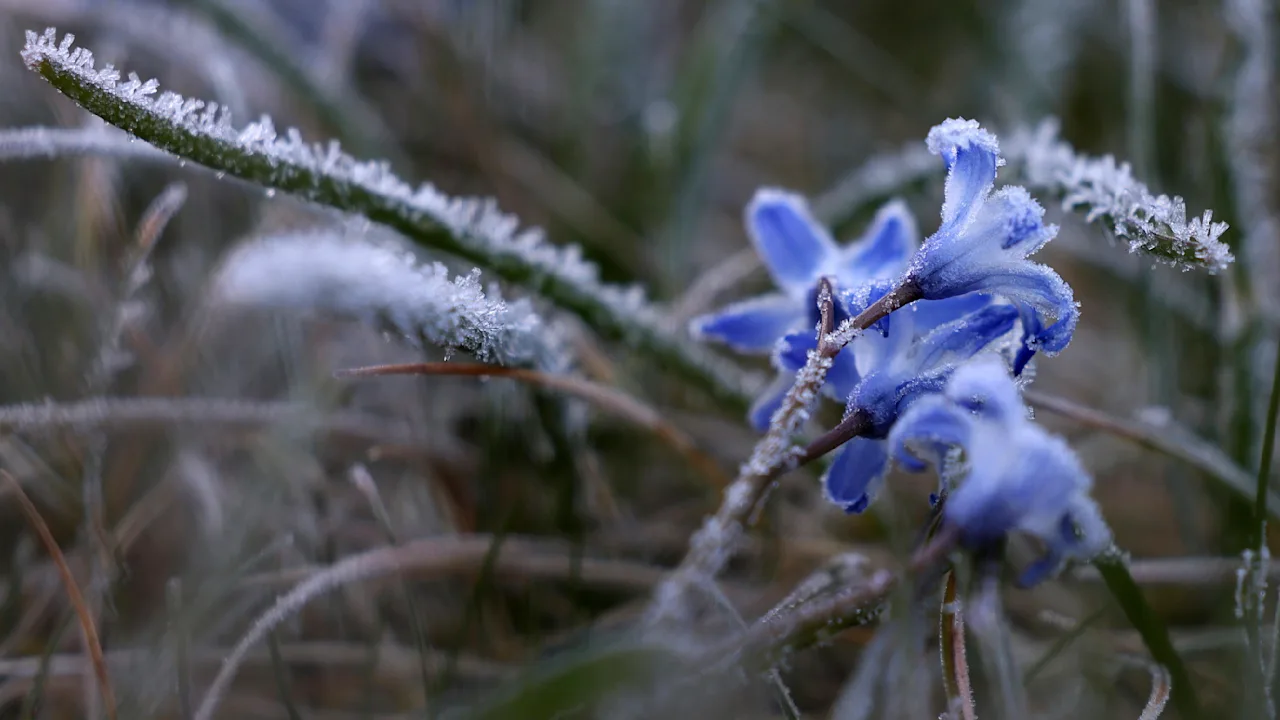 Plötzlicher Wetterumschwung bringt Schnee und Kälte ins Land