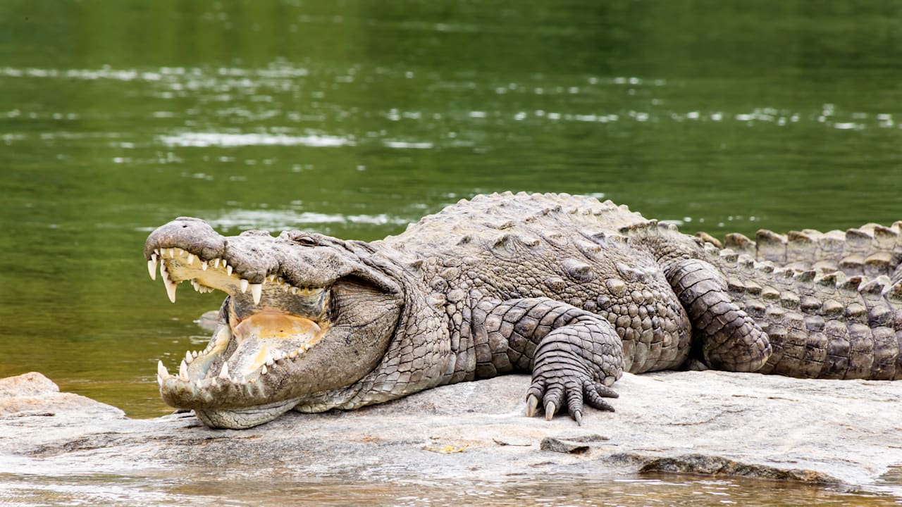 Indiens ungewöhnlicher Plan zur Bekämpfung illegaler Einwanderung