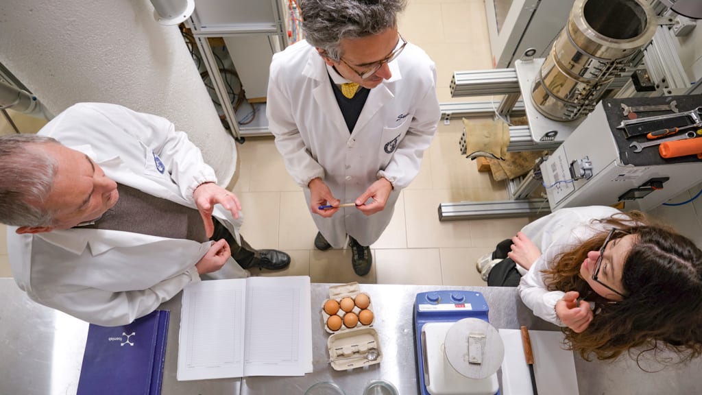 Wissenschaftler enthüllen das Geheimnis des perfekten Frühstückseis