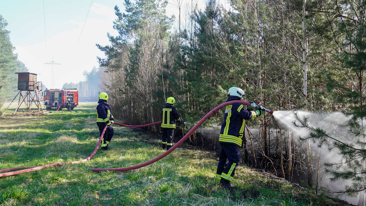 Waldbrand im Landkreis Görlitz: Polizei ermittelt nach mysteriösem Feuer