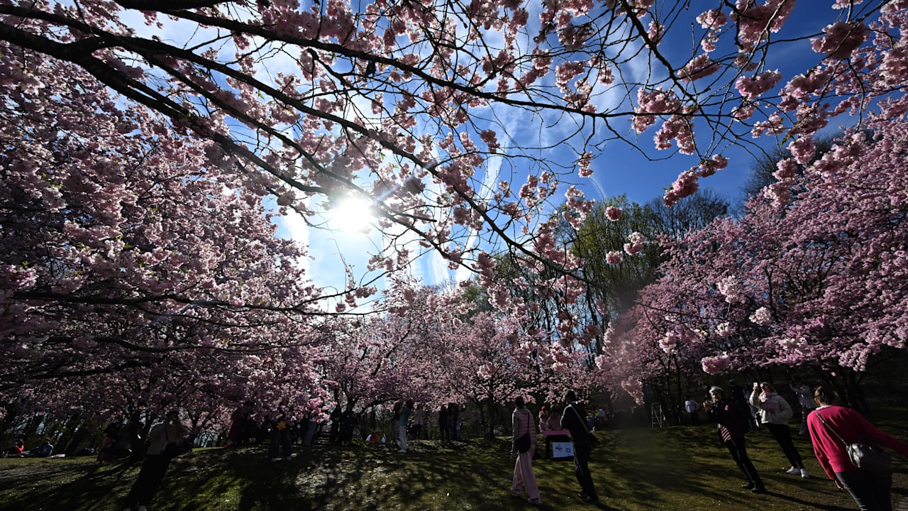 Frühlingshafte Temperaturen: Deutschland erlebt sonnige Tage