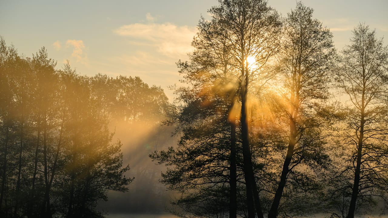 Wetterwechsel zu Ostern: Sonne, Regen und milde Temperaturen in Deutschland