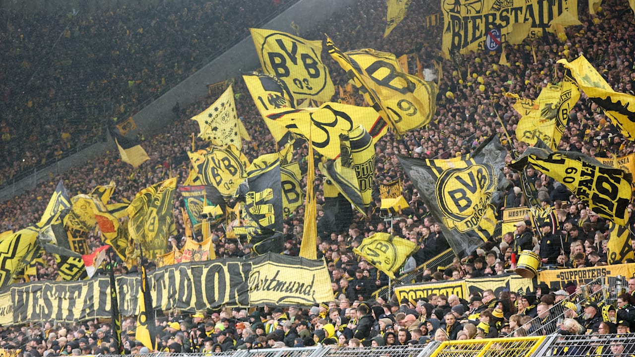 Auch Fans des FC Bayern dafür - Borussia Dortmund stimmt für diese DFB-Reform