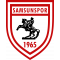 SV Sandhausen Logo