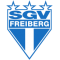 SGV Freiberg Logo